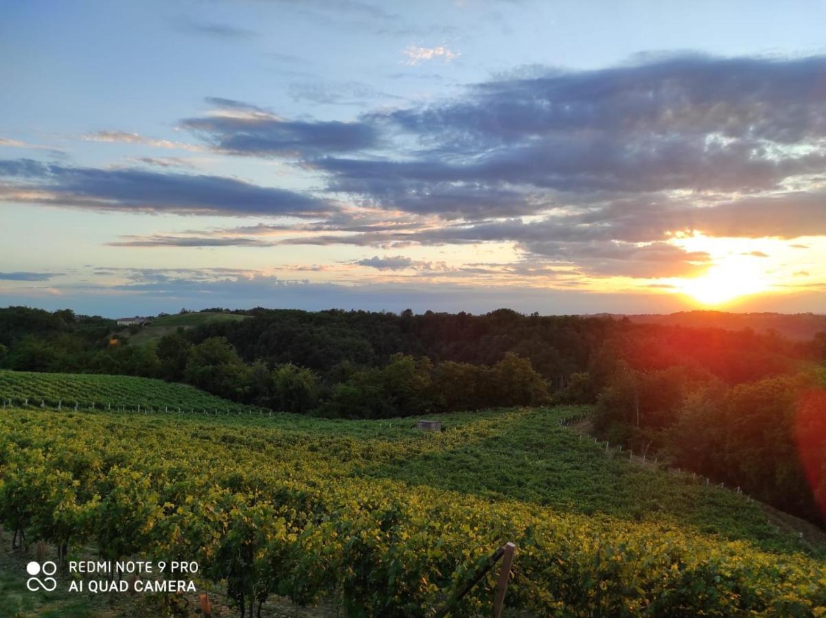 Oasi Del Monferrato - Appartamento Rosso Mombercelli エクステリア 写真